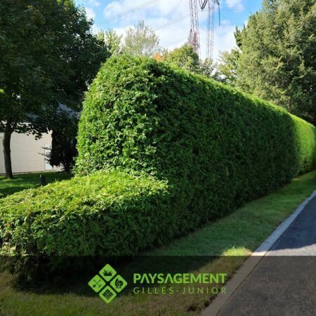 Paysagement-Gilles-Junior---Realisation-2023-avant-apres-1 Paysagement-Gilles-Junior---Realisation-2023-avant-apres-1